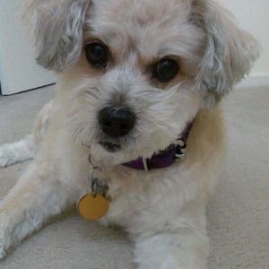 Meet your Posher, Gina